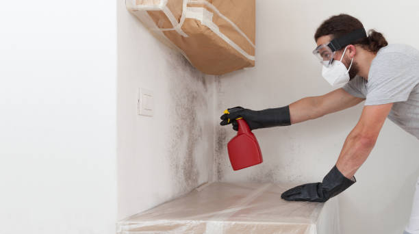 Professional Crawl Space Mold Removal technician working in Alexandria, KY