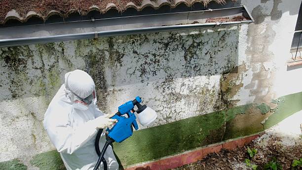 Top rated local Crawl Space Mold Removal specialists in Alexandria, KY